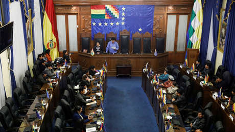 La Asamblea Legislativa Plurinacional da el visto bueno por unanimidad al proyecto de ley para nuevas elecciones generales en Bolivia