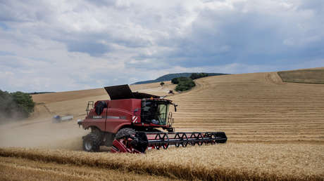 “Una ventana de exportación para Rusia”: ¿cómo será la instalación de cereales que permitirá suministrar grano a Asia Central, Oriente Medio y China?