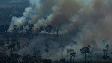 La destrucción del Amazonas podría desencadenar un efecto dominó en otras partes del mundo