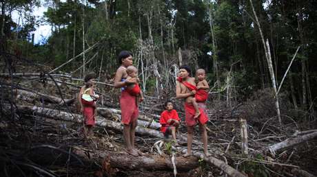 Brasil destinará 35 millones de dólares de ayudas de Alemania para combatir la tragedia yanomami