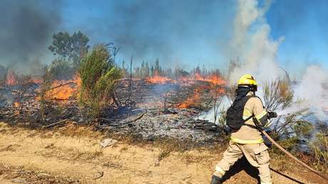 Cae un helicóptero durante el combate a los incendios en Chile y mueren sus dos tripulantes (VIDEOS)