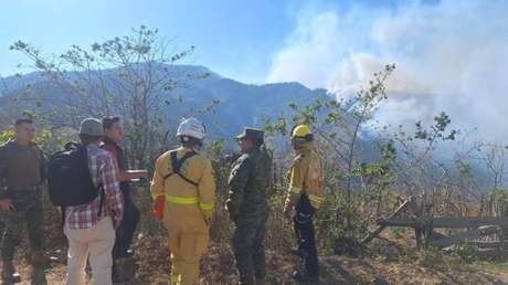 Devastador incendio al sur de Ecuador deja tres heridos y más de 3.800 hectáreas arrasadas