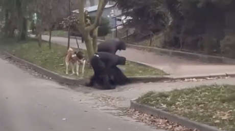 VIDEO: Reclutadores movilizan a un hombre en Ucrania mientras paseaba a su perro