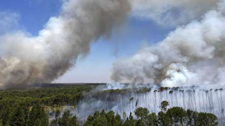 Presiones a la moratoria de la soja en la Amazonía amenazan el avance contra la deforestación