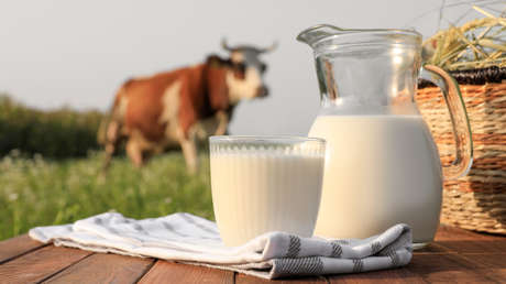 De vaca, de cabra o vegetal: ¿qué leche es la más saludable?