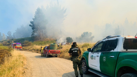 ¿Con intencionalidad?: focos simultáneos desatan 22 incendios forestales en el sur de Chile