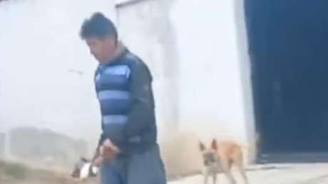 Hombre causa indignación al lanzar cachorros a la calle con una pala