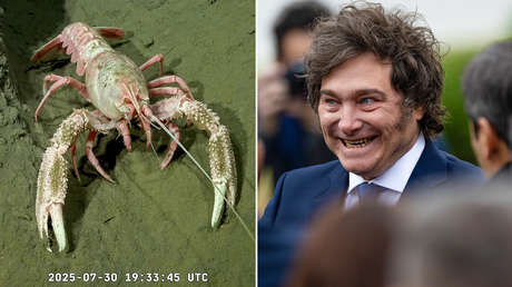 Golpe desde las profundidades: transmisión desde el fondo del mar tuvo más ‘rating’ que la entrevista de Milei